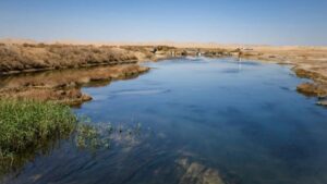 تالاب گاوخونی