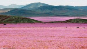 بیابان آتاکاما